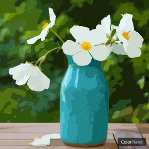 Meet your Posher, Brenda k